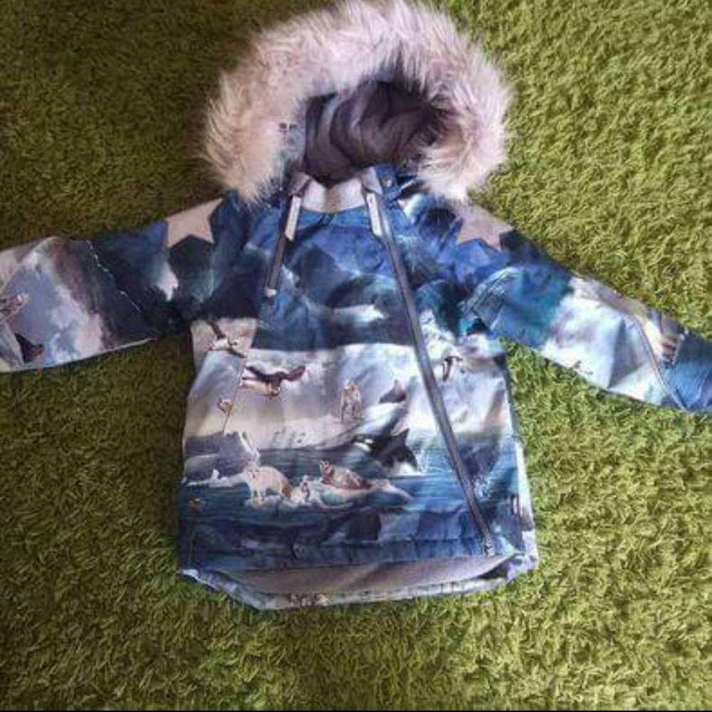 Winter jacket Molo